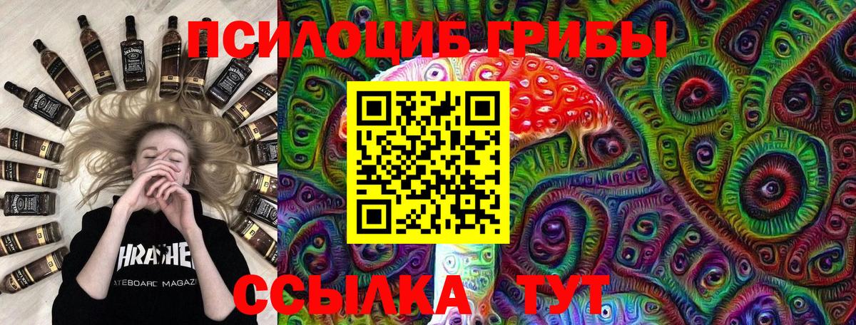 Галлюциногенные грибы Psilocybe  цены   Химки  Вход с VPN  Псилоцибиновые грибы мицелий 